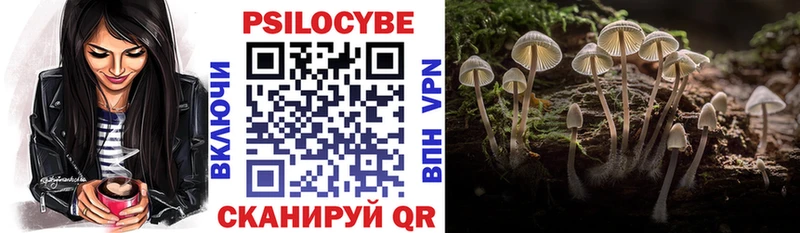 Псилоцибиновые грибы прущие грибы Хасавюрт