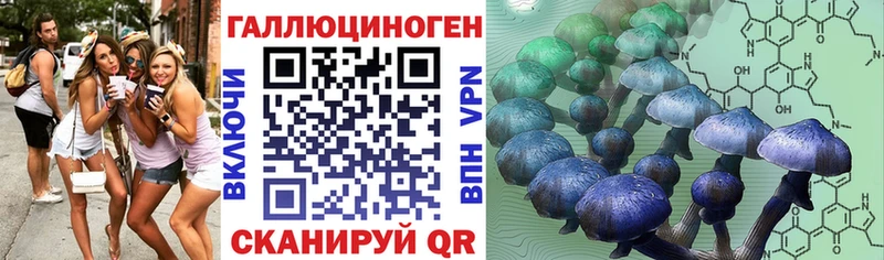 Галлюциногенные грибы Psilocybine cubensis  блэк спрут   Хасавюрт 